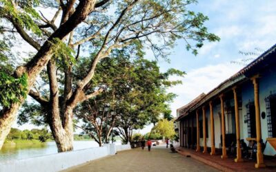 Diversidad natural de Mompox, Bolívar